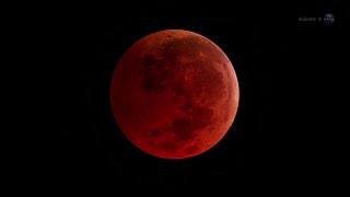 Lunar Eclipse in the Denver Skies October 8th
